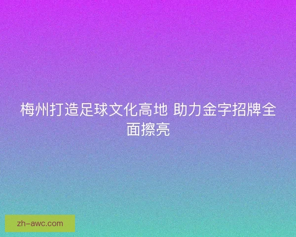 梅州打造足球文化高地 助力金字招牌全面擦亮
